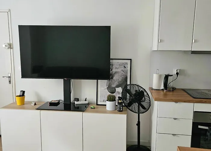 公寓 Cosy Centre 波尔多